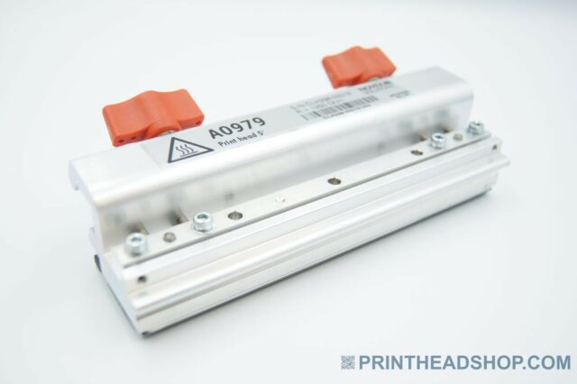 Printhead Avery / Novexx A0979 - PRINTHEADSHOP.COM